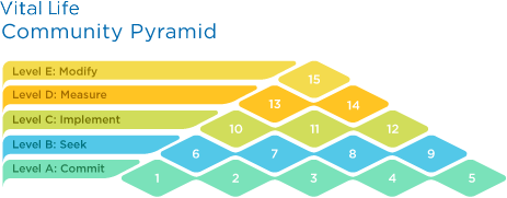 vitalife community pyramid